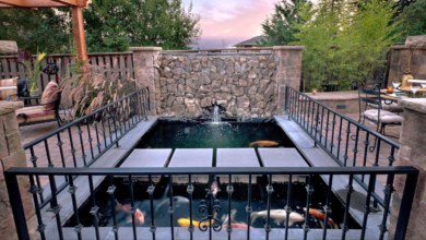 Design Inspiration: How to Landscape Around a Koi Pond